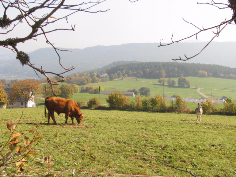 La nature comme un livre ouvert 