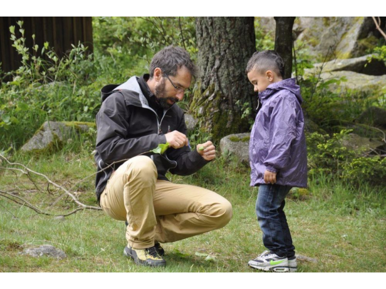 A l'écoute de la forêt 