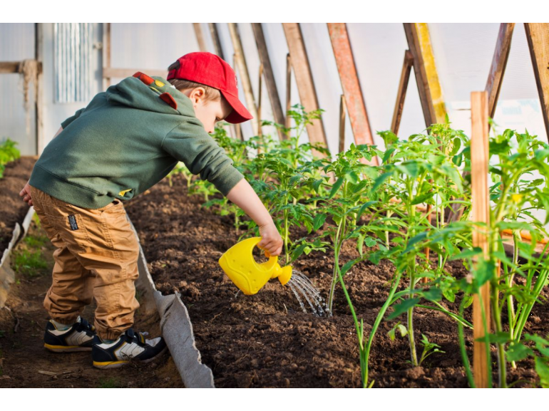 Saveurs Jardin 