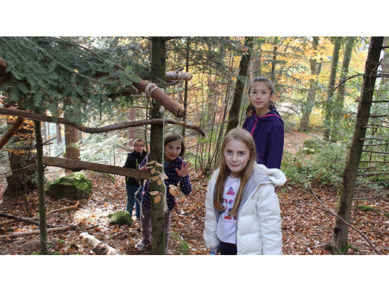 A l'écoute de la forêt 