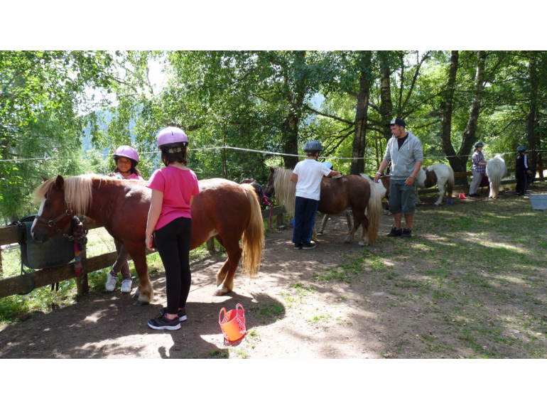 A dos de cheval 