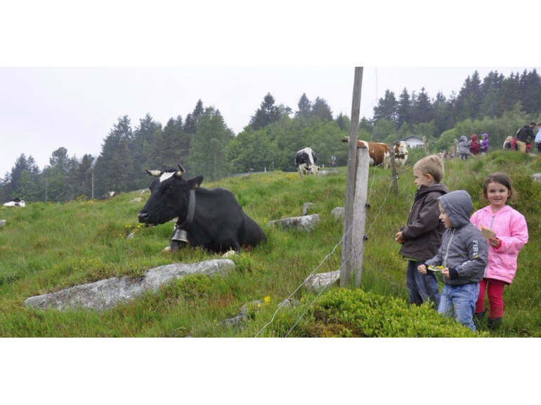 A l'écoute de la forêt 